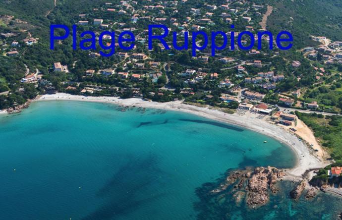 Vue Mer Panoramique Plage 50M Porticcio Corse Εξωτερικό φωτογραφία